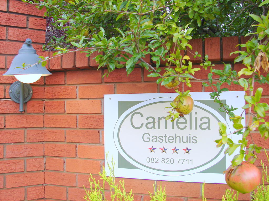 Camelia Guest House Блумфонтейн Экстерьер фото