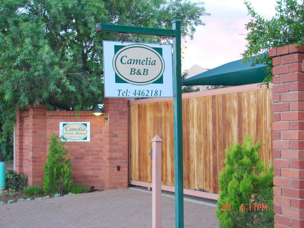 Camelia Guest House Блумфонтейн Экстерьер фото